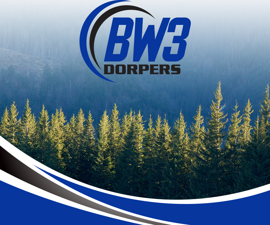 BW3 Dorpers